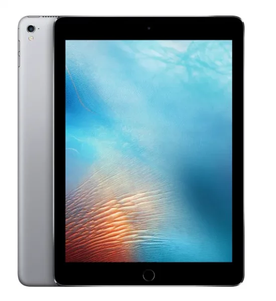 Toru Nishizukaさま専用Apple iPad Pro 9.7インチ